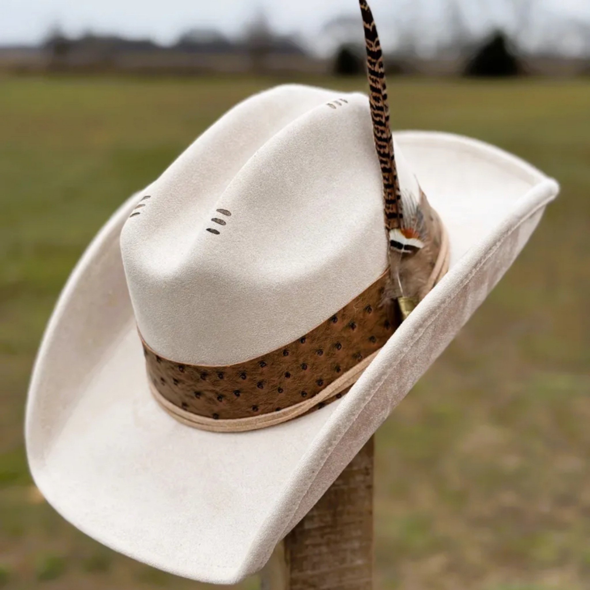 Sparrow in the Treetops Cowboy Fedora